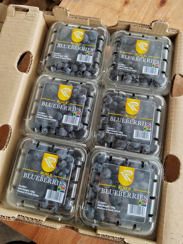 South African Fresh Blueberries 125g | Wholesale Supply Netherlands